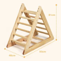 Dimensions du Triangle de Motricité