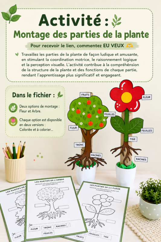 Enfants s'amusant à apprendre les parties de la plante avec des jeux ludiques.