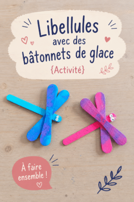 Activité manuelle : libellules colorées en bâtonnets de glace