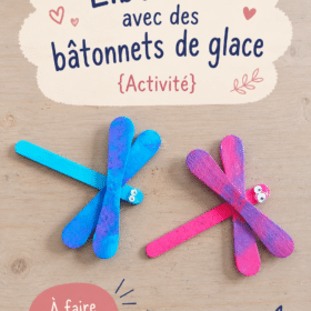 Activité manuelle : libellules colorées en bâtonnets de glace
