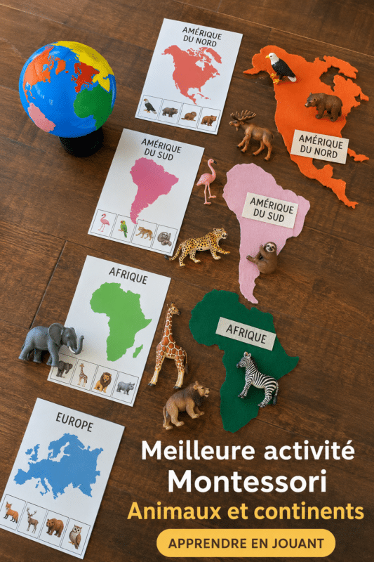 Activités Montessori avec des enfants explorant un globe terrestre et des figurines d'animaux.
