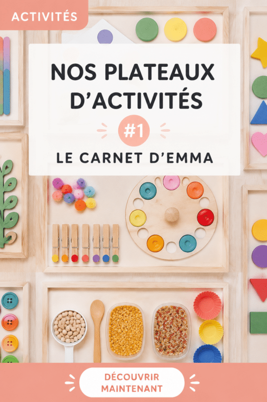 Assortiment de plateaux d'activités colorés pour enfants.
