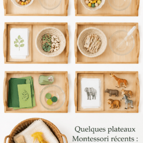 Plateaux Montessori colorés pour enfants de 1-2 ans