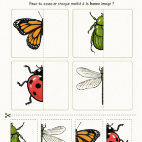 Une maman et son enfant profitent d'une activité éducative sur les insectes