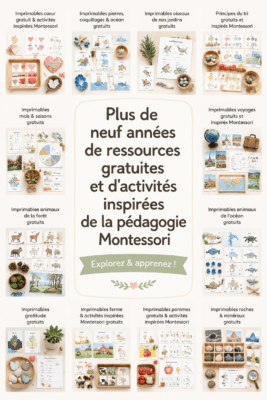Ensemble d'activités Montessori en couleur pour enfants