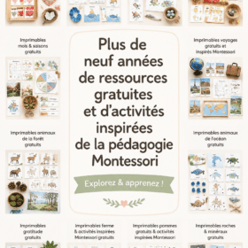 Ensemble d'activités Montessori en couleur pour enfants