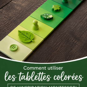 Jeune enfant jouant avec des tablettes de couleurs Montessori, développant sa perception des couleurs.